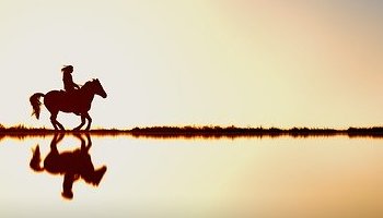 12 juli - 1 september: Intense tijd en wisseling van zonnejaar